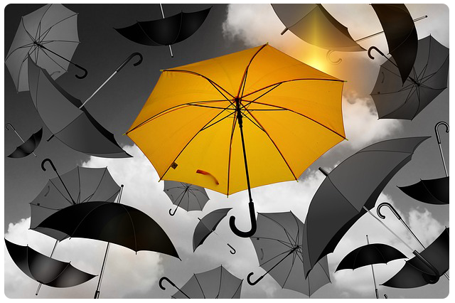 yellow umbrella