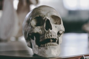 skull-2589974_640