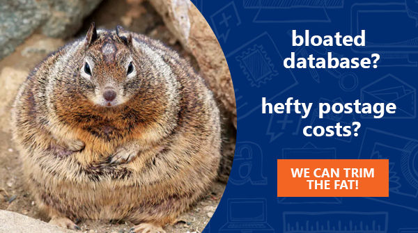 Trim the Fat With Data Hygiene & Commingling